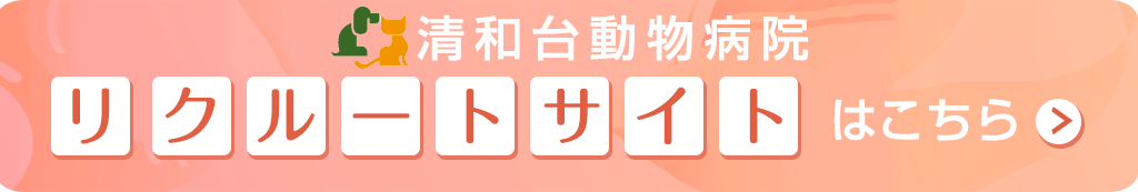 リクルートサイト